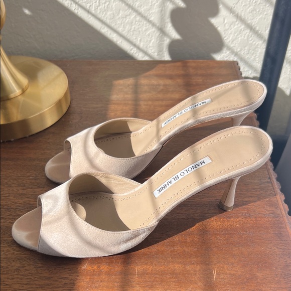 Manolo Blahnik Jada Light Beige Suede Mules - Picture 2 of 8